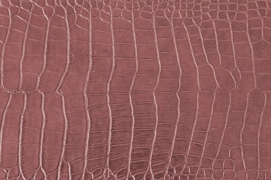 Crocodile Skin Pattern , Alligator skin seamless texture