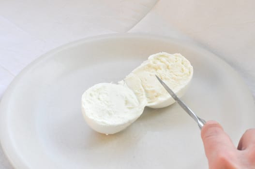 Cook hand cutting traditional Italian mozzarella di bufala (buffalo mozzarella) cheese made from buffalo milk