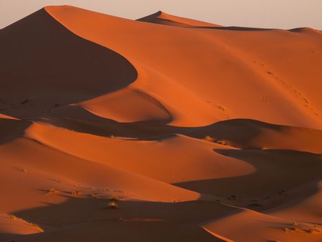 Sunlight highlighting the dunes in the Sahara
