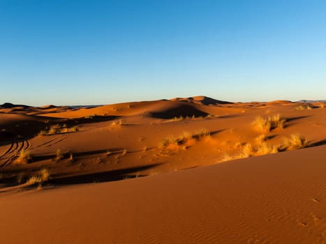Sunlight highlighting the dunes in the Sahara







Sunlight highlighting the dunes in the Sahara