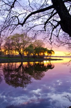 beautiful evening soring sunset landscape on lake