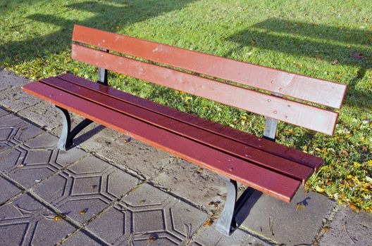 Lonely empty bench sunlighted by sun in the park. Object shadow.