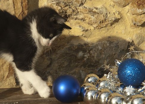 Cat playing with a Christmas ball