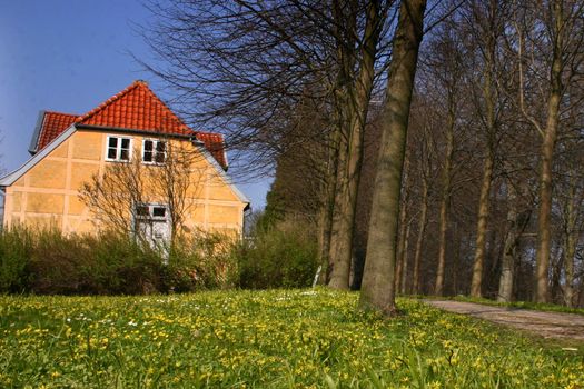 traditional house   in denmark a sunny summer day