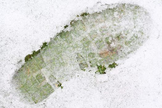 Closeup of a shoeprint on ice covered lawn.