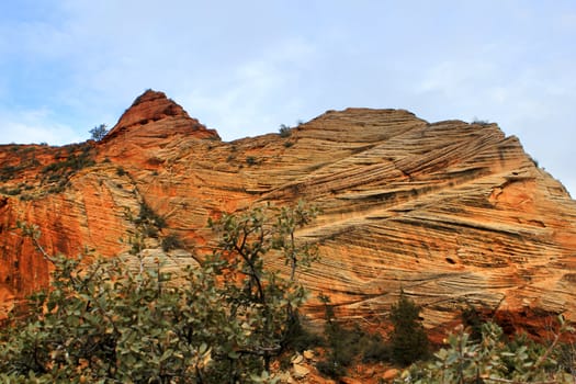 Dramatic View of Canyon, Zion National Park Cliffs