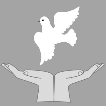 vector illustration of the dove in hand