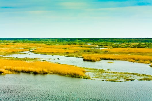 small river on autumn field