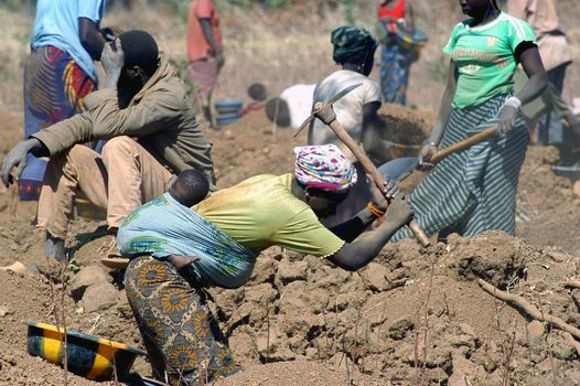 To the goldmine of Poura the gold diggers come from everywhere in the hope of finding a little gold after the season of the cultures. Women, children and men of very old are here in a universe of dust under a blazing sun. In Burkina Faso Faso the research of gold in the wild mines is the only activity which makes it possible to save the population of misery.                             