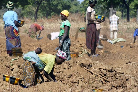 To the goldmine of Poura the gold diggers come from everywhere in the hope of finding a little gold after the season of the cultures. Women, children and men of very old are here in a universe of dust under a blazing sun. In Burkina Faso Faso the research of gold in the wild mines is the only activity which makes it possible to save the population of misery.                             