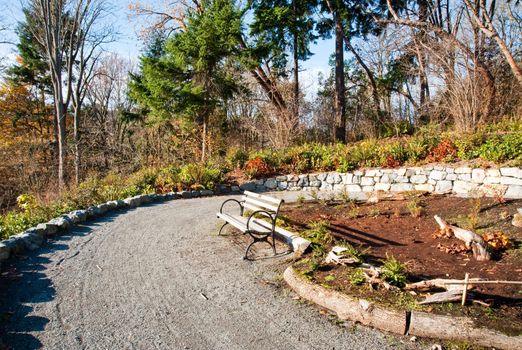 Bench in the Washington Park Arboretum