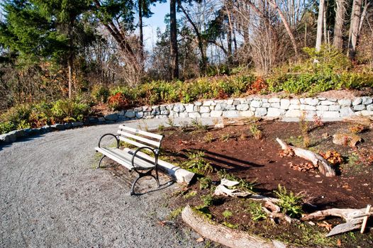 Bench in the Washington Park Arboretum