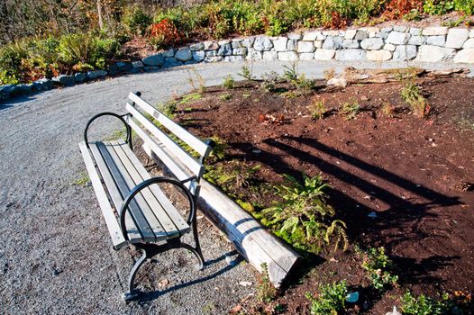 Bench in the Washington Park Arboretum