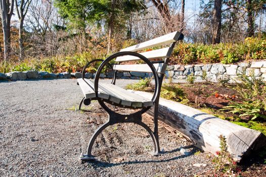 Bench in the Washington Park Arboretum