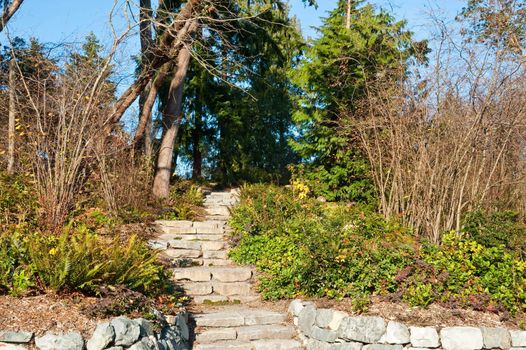Steps in the Washington Park Arboretum