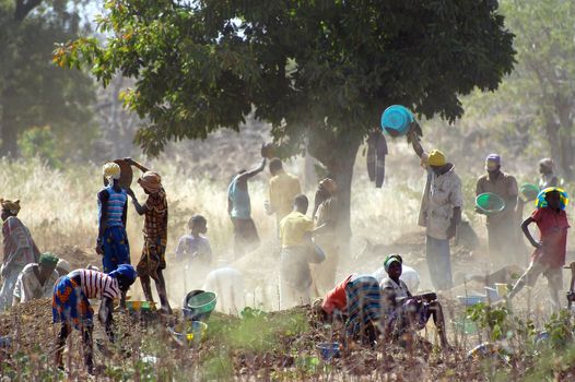 To the goldmine of Poura the gold diggers come from everywhere in the hope of finding a little gold after the season of the cultures. Women, children and men of very old are here in a universe of dust under a blazing sun. In Burkina Faso Faso the research of gold in the wild mines is the only activity which makes it possible to save the population of misery.                             