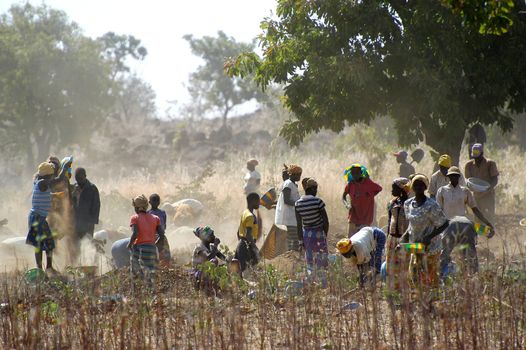 To the goldmine of Poura the gold diggers come from everywhere in the hope of finding a little gold after the season of the cultures. Women, children and men of very old are here in a universe of dust under a blazing sun. In Burkina Faso Faso the research of gold in the wild mines is the only activity which makes it possible to save the population of misery.                             