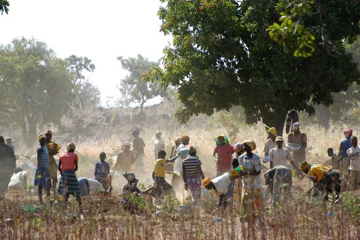 To the goldmine of Poura the gold diggers come from everywhere in the hope of finding a little gold after the season of the cultures. Women, children and men of very old are here in a universe of dust under a blazing sun. In Burkina Faso Faso the research of gold in the wild mines is the only activity which makes it possible to save the population of misery.                             