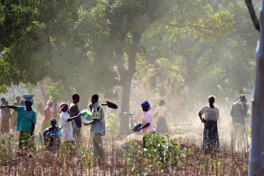 To the goldmine of Poura the gold diggers come from everywhere in the hope of finding a little gold after the season of the cultures. Women, children and men of very old are here in a universe of dust under a blazing sun. In Burkina Faso Faso the research of gold in the wild mines is the only activity which makes it possible to save the population of misery.                             