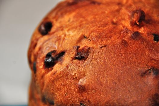 panettone on white background