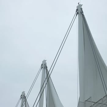 White sails and sky