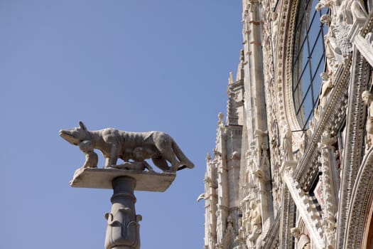 A statue of the she-wolf and Romulus and Remus from outside of the Cathedral of Siena. (Siena, Italy)

