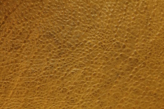 Closeup photo of sheepskin leather as a background.