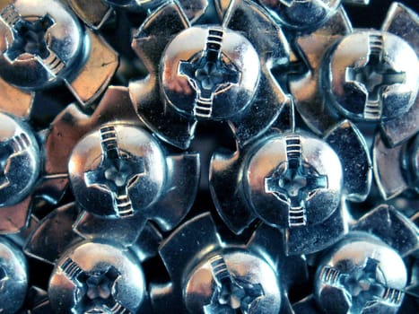 the screws