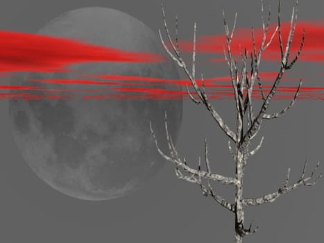 the dead tree and the moon