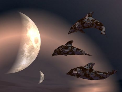 dolphins  in space