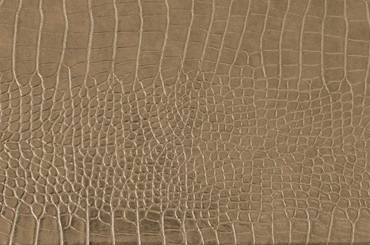 Crocodile Skin Pattern , Alligator skin seamless texture