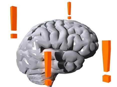 brain and interrogation