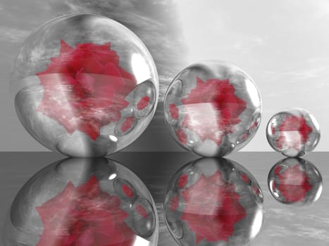 rose in a bubble