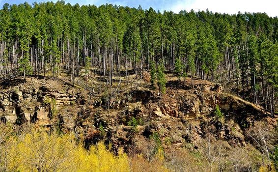 Black Hills South Dakota