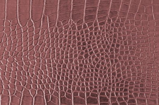 Crocodile Skin Pattern , Alligator skin seamless texture