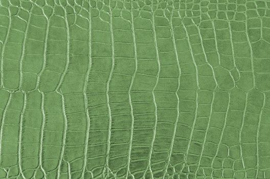 Crocodile Skin Pattern , Alligator skin seamless texture