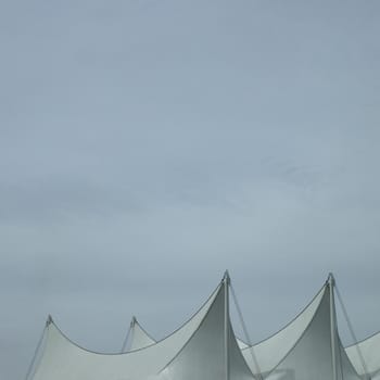 White sails and sky