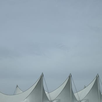 White sails and sky