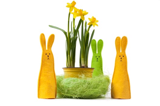 Yellow narcissus in the pot and three bunnies, isolated on white