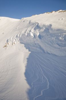 a winter landscape in the snow