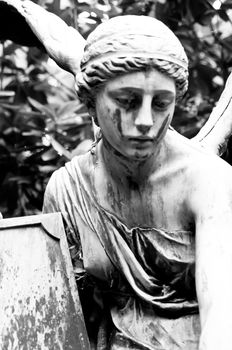 Statue of an angel at the Cemetery