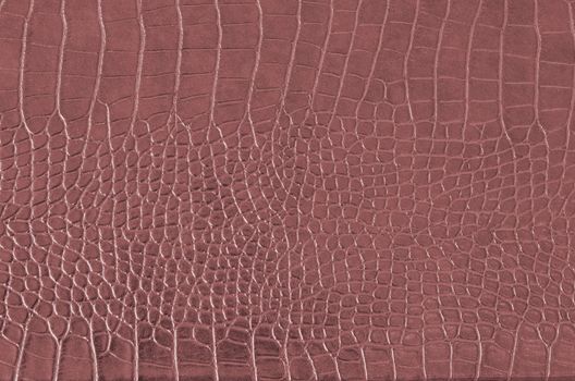 Crocodile Skin Pattern , Alligator skin seamless texture