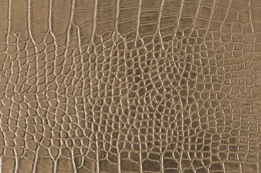 Crocodile Skin Pattern , Alligator skin seamless texture