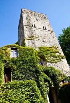 Italy - a Middle Age castle covered by ivy