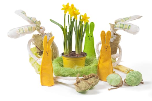 Yellow narcissus in the pot and five bunnies, isolated on white