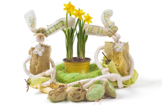 Easter bunnies with narcissus, isolated on white