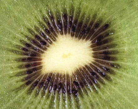 Detailed macro picture of kiwi fruit cut in half.