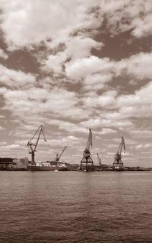 Industrial Harbour with lifting cranes. Sepia toned.







Detailed macro picture of kiwi fruit cut in half.