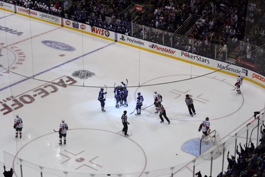 Toronto Maple Leafs NHL team celebrating after scoring a goal