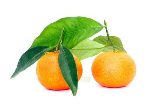  tangerine isolated on a white background